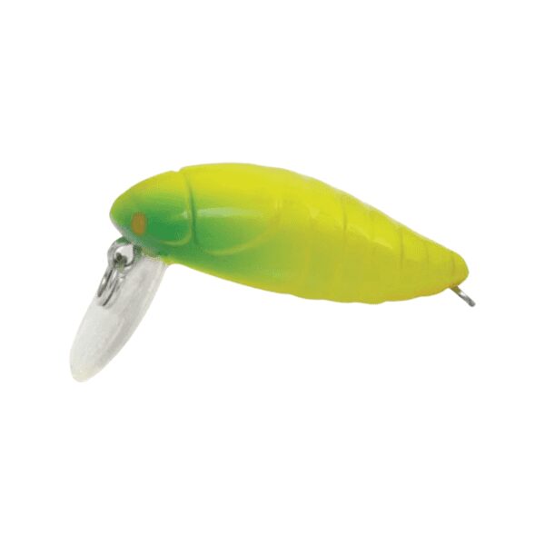 Rapture Beetle 2 Gram-1