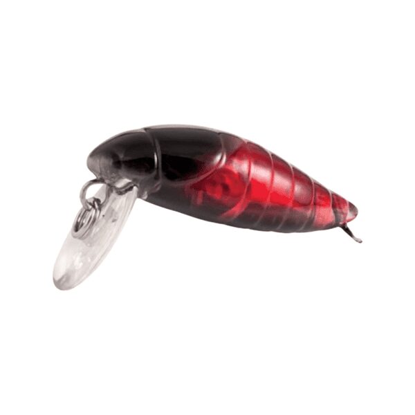 Rapture Beetle 2 Gram-10