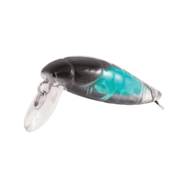 Rapture Beetle 2 Gram-12
