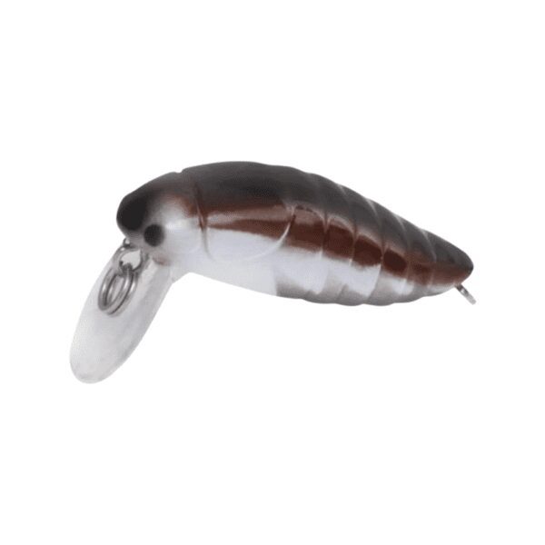 Rapture Beetle 2 Gram-5