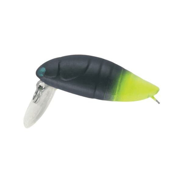 Rapture Beetle 2 Gram-6