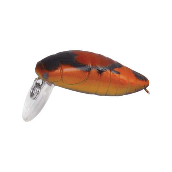 Rapture Beetle 2 Gram-7