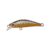 Copper Minnow